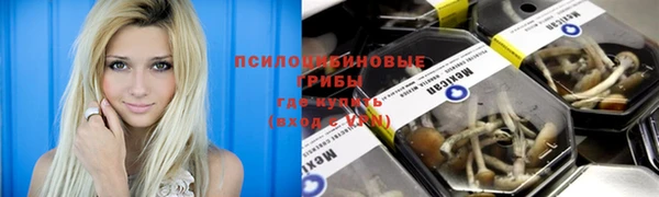 хмурый Балабаново