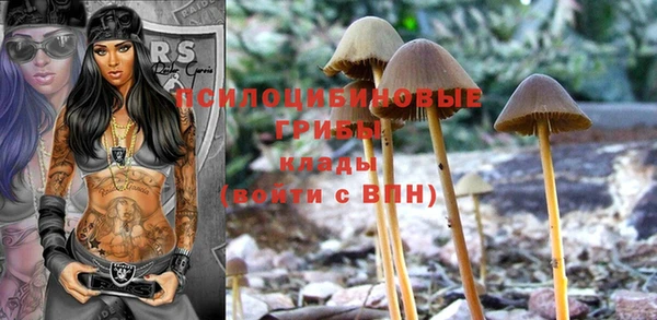 мескалин Баксан