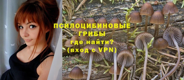 хмурый Балабаново