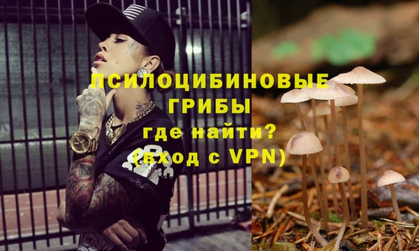 мескалин Баксан