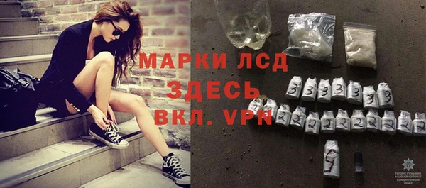 амф Гатчина