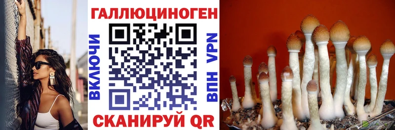 Галлюциногенные грибы прущие грибы mega вход Колпашево