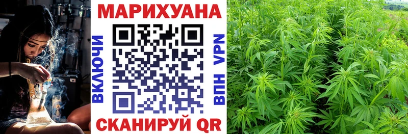 где найти наркотики  Колпашево  Конопля Ganja 